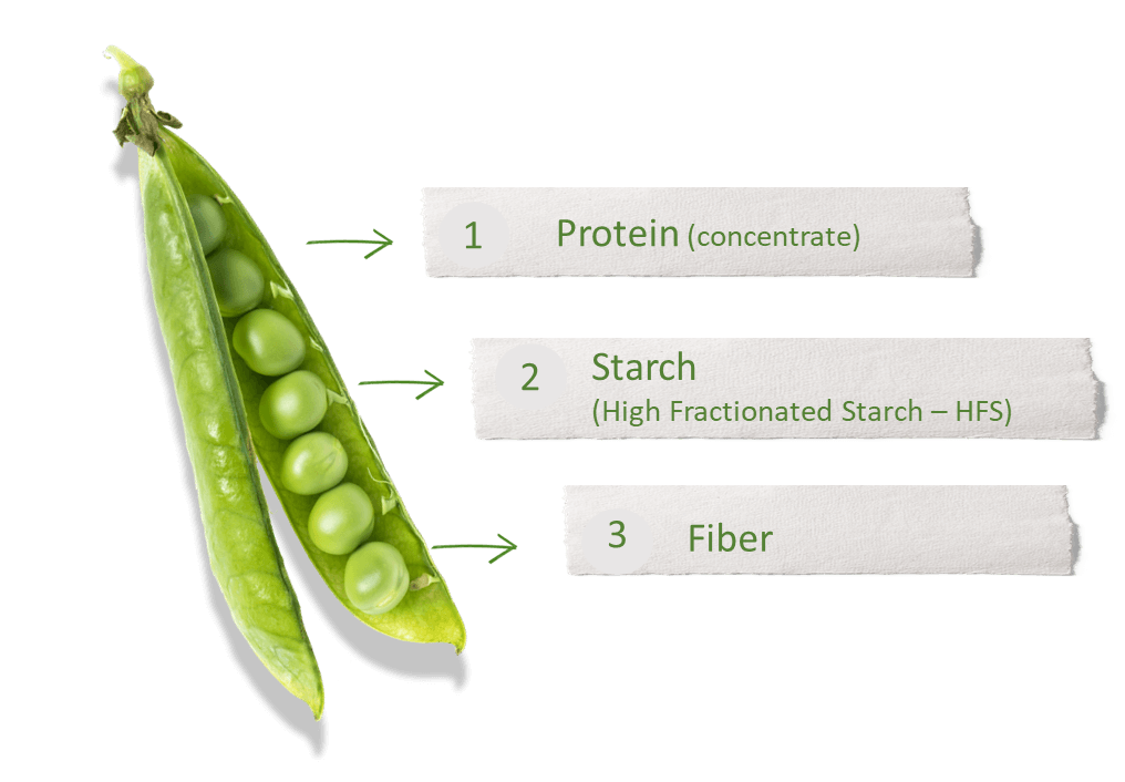 Pea Ingredients